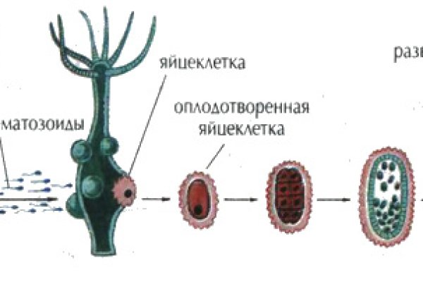 Kraken в россии